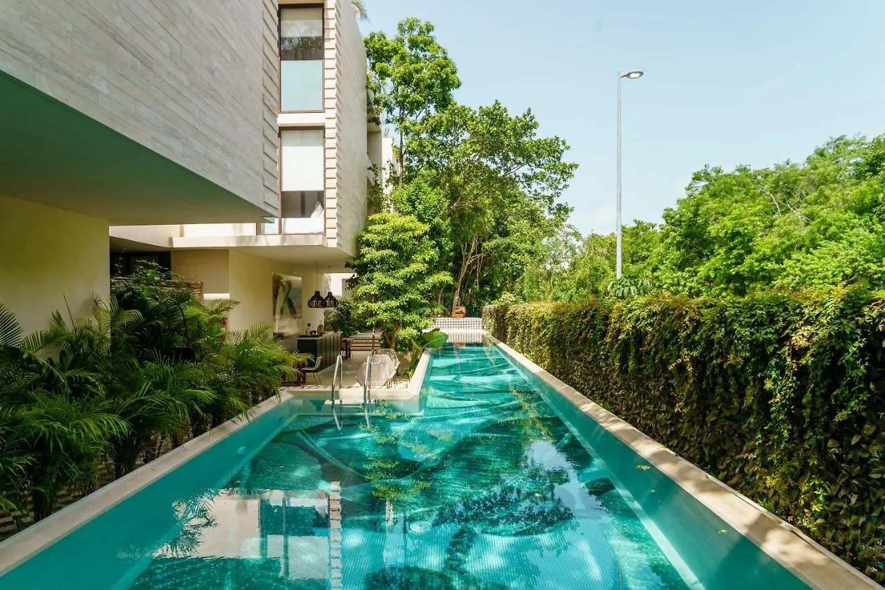 307 Amazing Jungle View Apartment. 툴룸 0*,  멕시코
