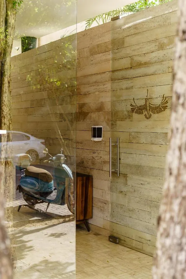 307 Amazing Jungle View Apartment. 툴룸 0*,  멕시코